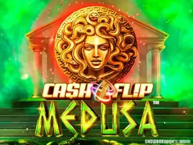 Vicibet Casino screenshot
